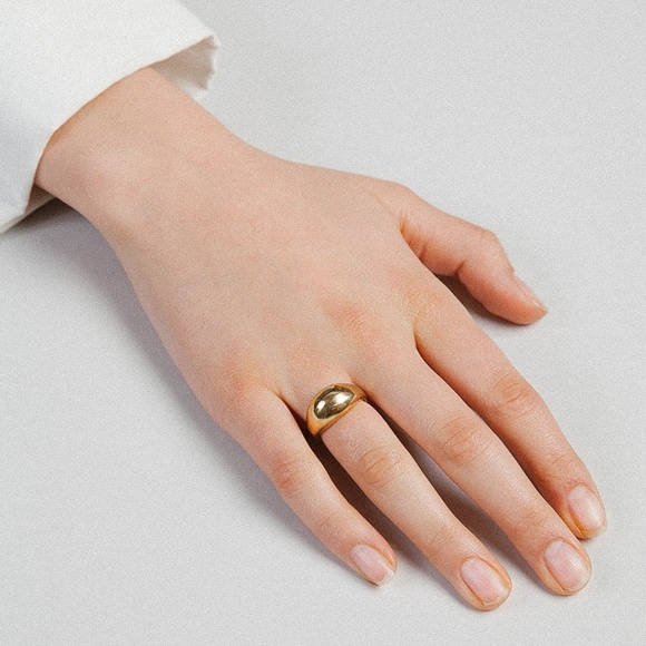 Catbird | Jewelry | Nib 4k Gold Wolf Circus Magnes Ring | Poshmark